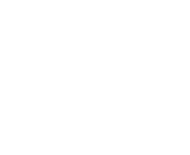 Servicio técnico portones Ehlers